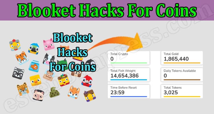 Best blooket hacks github for coins: Educational Gaming