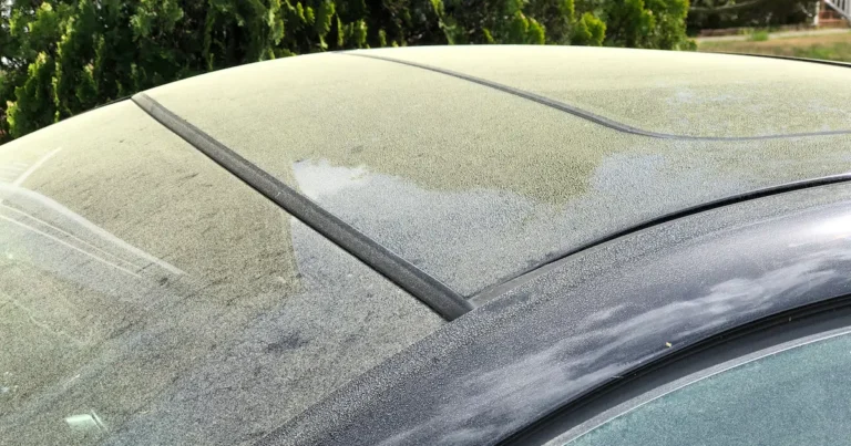White Dust Falling from the Sky: A Natural Phenomenon
